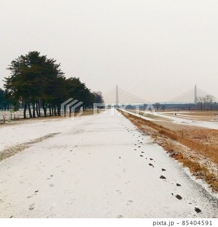 北海道帯広市郊外の河川敷の雪道 北海道帯広市郊外の河川敷の雪道 85404591