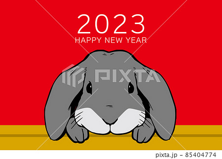 23年 年賀状デザイン ウサギ リアル 赤 卯年のイラスト素材