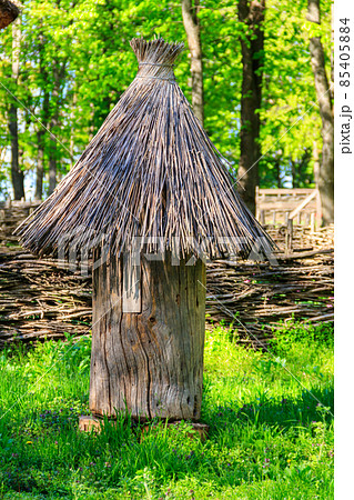 Ancient wooden beehives in old rural apiary 85405884
