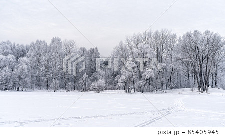 Winter snowy landscape with trees covered with frost and snow Winter snowy landscape with trees covered with frost and snow 85405945
