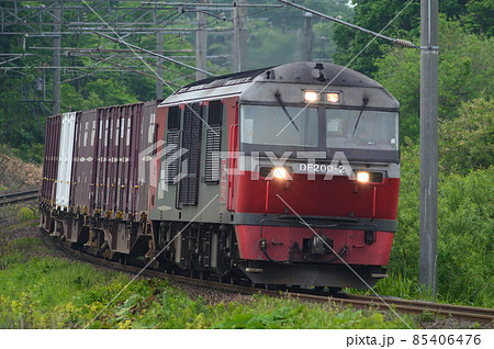 緑に包まれた緩やかな下りカーブを駆け下りきた貨物列車 85406476