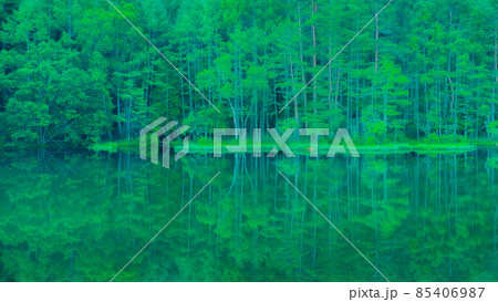 御射鹿池（夏） 85406987