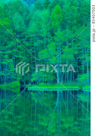 御射鹿池（夏） 85407003