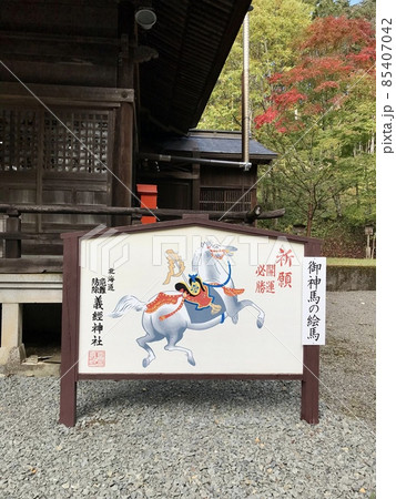 御神馬の絵馬 御神馬の絵馬 85407042