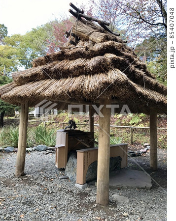 義経神社の手水舎 義経神社の手水舎 85407048
