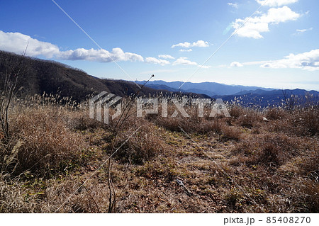 群馬県みどり市 郡界尾根コースの登山口から後袈裟丸山を目指す 広い緩やかな尾根の八重樺原を進む 群馬県みどり市 郡界尾根コースの登山口から後袈裟丸山を目指す 広い緩やかな尾根の八重樺原を進む 85408270