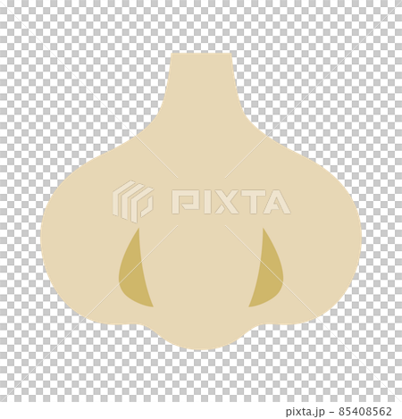Garlic vegetable icon 85408562