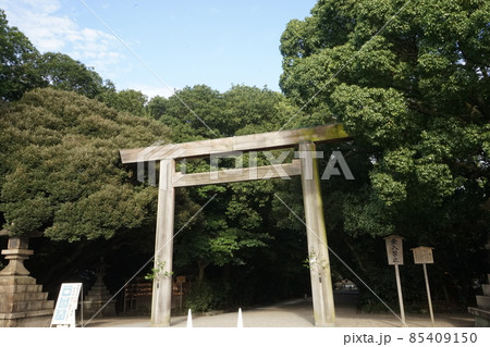 愛知県名古屋市 熱田神宮 参道 鳥居 85409150