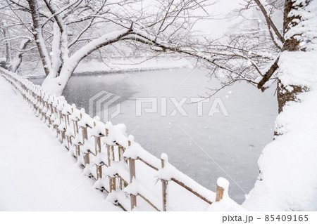鶴ヶ城公園の雪景色(堀) 鶴ヶ城公園の雪景色(堀) 85409165