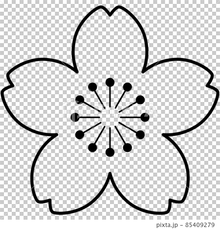 Sakura line drawing illustration 85409279
