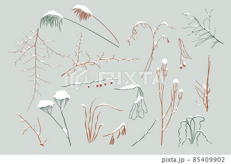 Set of modern abstract botanical line drawings and plant silhouettes. 85409902
