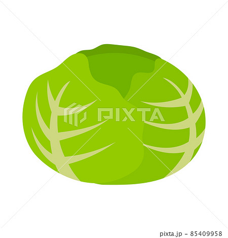 キャベツ　野菜　アイコン 85409958