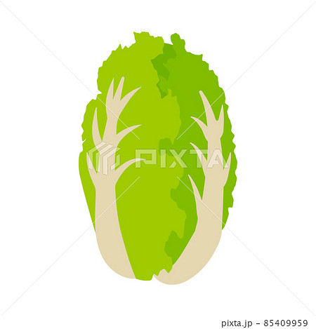 白菜　野菜　アイコン 85409959