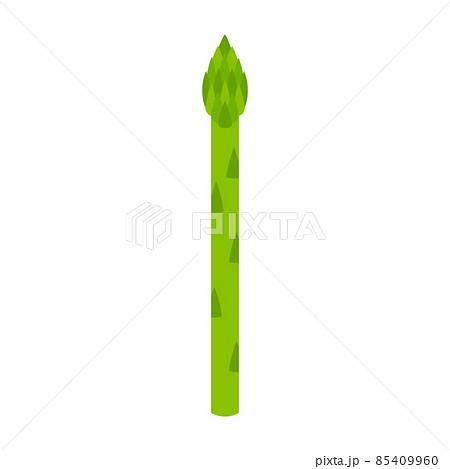 アスパラガス　野菜　アイコン 85409960