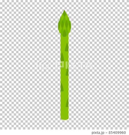 アスパラガス　野菜　アイコン 85409960