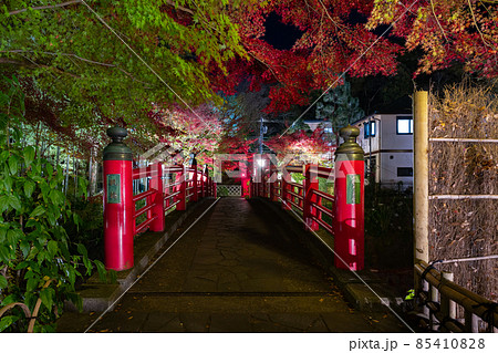 静岡県伊豆市修善寺　紅葉シーズンの修善寺温泉街(夜) 85410828