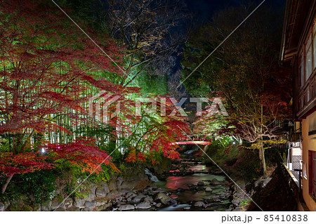 静岡県伊豆市修善寺　紅葉シーズンの修善寺温泉街(夜) 85410838