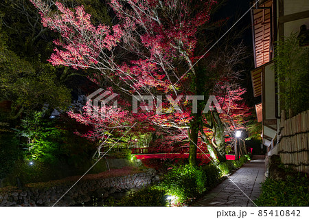 静岡県伊豆市修善寺 紅葉シーズンの修善寺温泉街(夜) 静岡県伊豆市修善寺 紅葉シーズンの修善寺温泉街(夜) 85410842