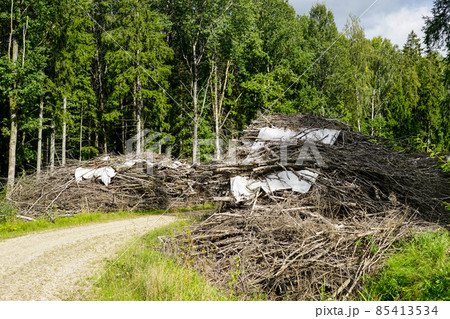 gravel forest road with large piles of branches on both sides of the road 85413534
