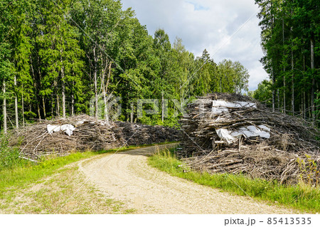 gravel forest road with large piles of branches on both sides of the road gravel forest road with large piles of branches on both sides of the road 85413535