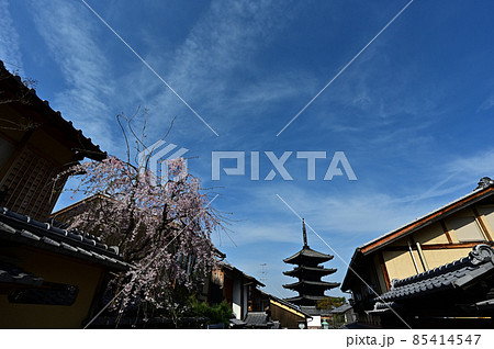 八坂の塔より 85414547