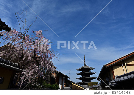 八坂の塔より 八坂の塔より 85414548