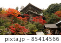 宮島　紅葉 85414566