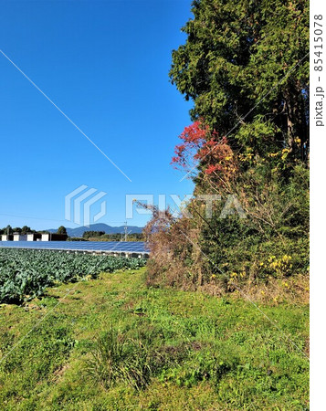 太陽光発電　農地　民家　里山の共生　カーボンプライシング　環境問題　エネルギー自給　食料自給 85415078