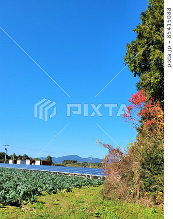 太陽光発電　ブロッコリー畑　民家　里山の共生　環境問題　エネルギー自給　食料自給 85415088
