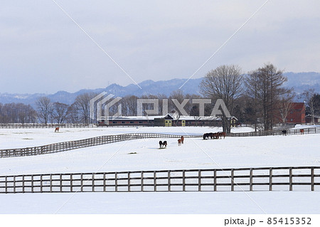 北海道　石狩地方　牧場のある風景 85415352