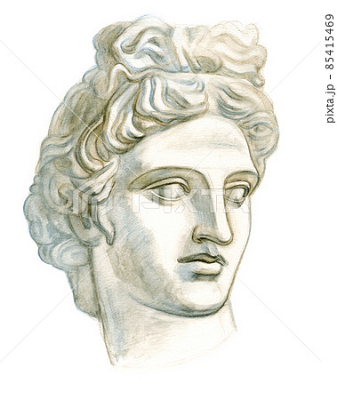 Antique plaster head Apollo 85415469