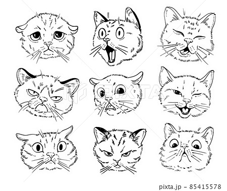 Cat portrait drawing. Black and white cartoon... - Stock Illustration  [85415578] - PIXTA