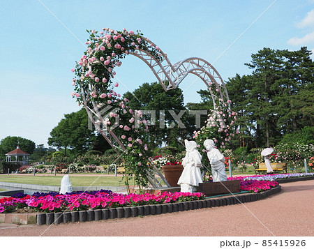 【前橋市】ばら園 愛をつなぐアーチ 【前橋市】ばら園 愛をつなぐアーチ 85415926