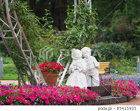 【前橋市】ばら園 愛をつなぐアーチ 【前橋市】ばら園 愛をつなぐアーチ 85415935