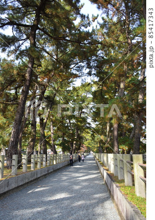 法隆寺 法隆寺 85417343