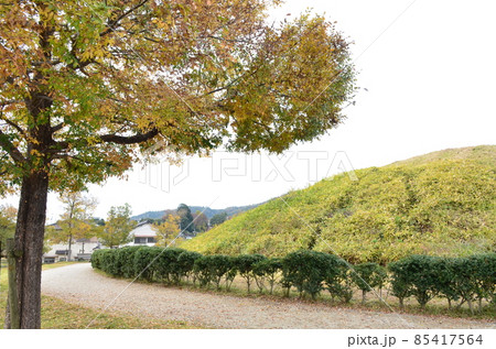 藤ノ木古墳 藤ノ木古墳 85417564