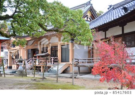 龍田神社 85417603