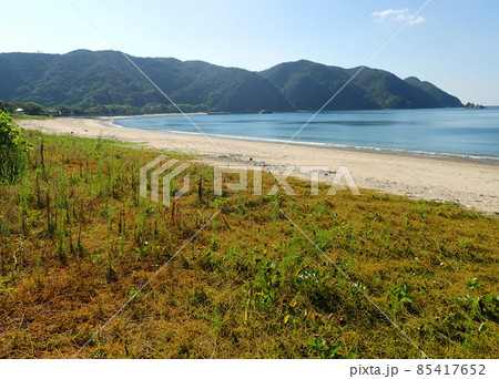 加計呂麻島の諸鈍の浜辺 85417652