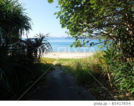 加計呂麻島の諸鈍の海岸 85417654