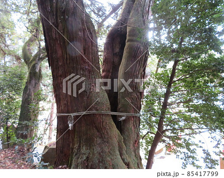 高岡神社 高岡神社 85417799