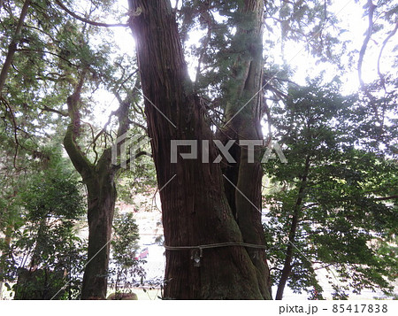 高岡神社 高岡神社 85417838