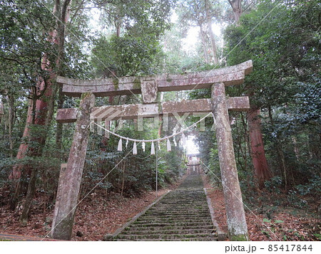 高岡神社 高岡神社 85417844