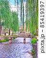 京都市東山区の白川に掛かる一本橋と柳の葉の景観 85419397