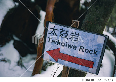 冬の屋久島の景色(もののけの森)~九州の世界自然遺産~ 85420525