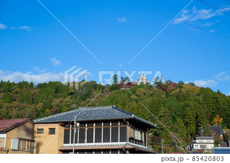 郡上八幡市街地から見上げる郡上八幡城 85420803