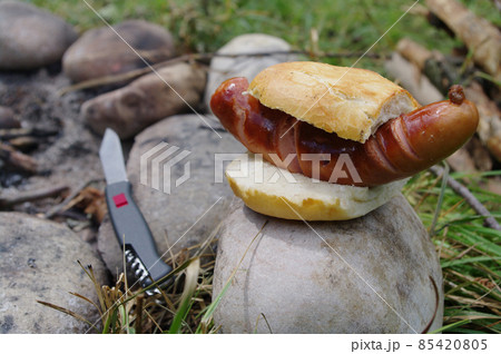 bbq grilled sausage 85420805