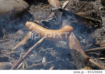 bbq grilled sausage bbq grilled sausage 85420808