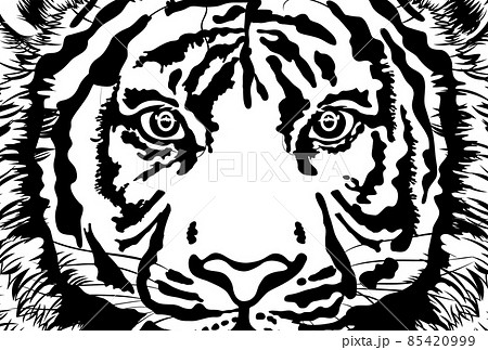 虎の顔のアップの白黒イラスト はがきテンプレート のイラスト素材