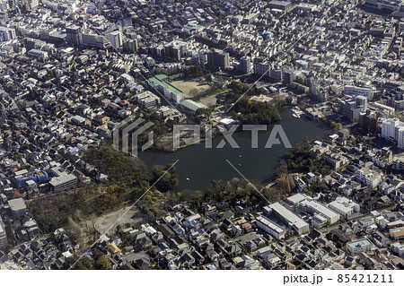 東京都大田区の洗足池付近を空撮 東京都大田区の洗足池付近を空撮 85421211