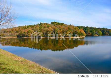 松野湖　秋　瑞浪市 85421609